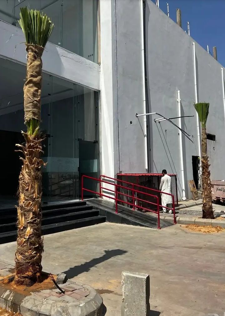 نخل وشنطانياء