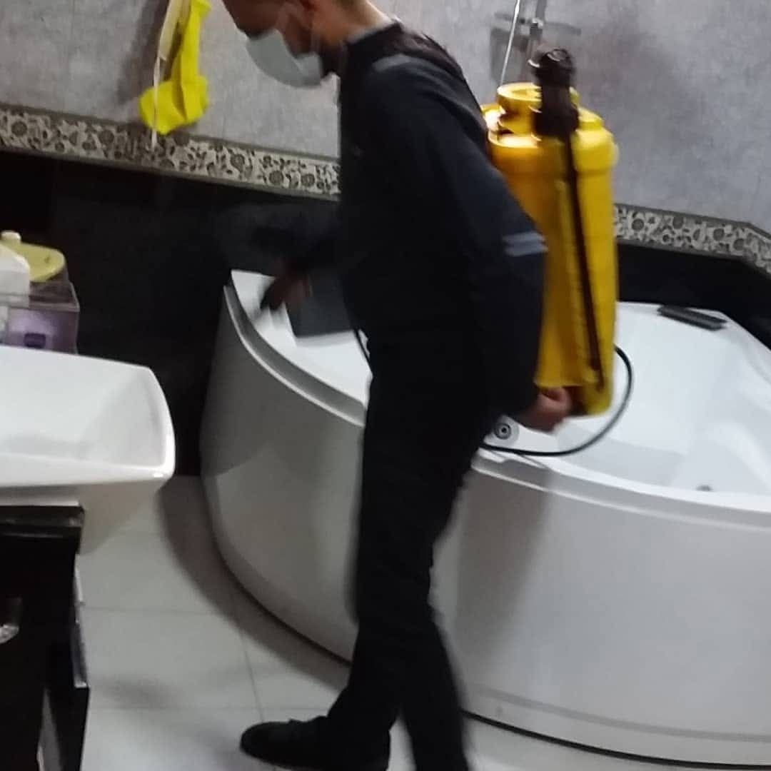 مكافحه حشرات