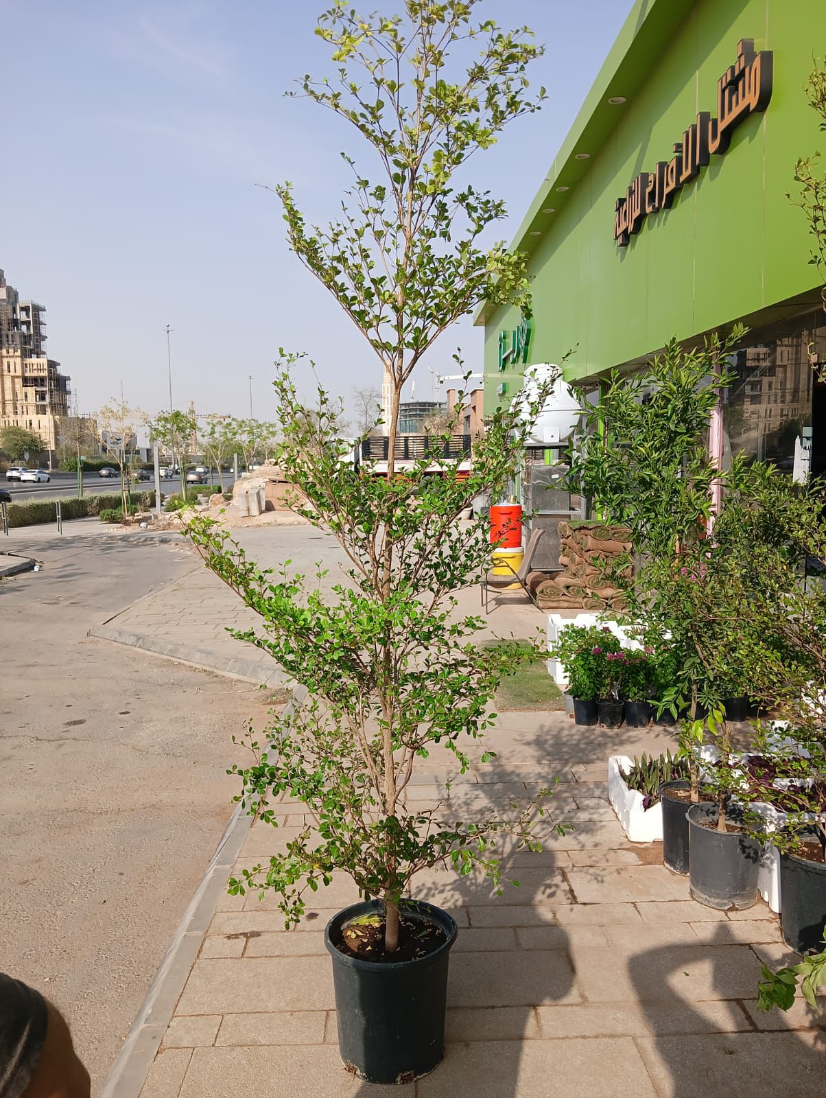 مشتل زراعي الرياض حي الملقا طريق الملك سلمان