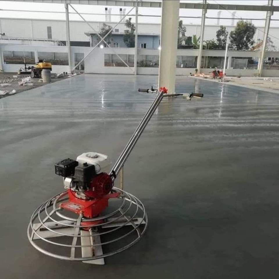 صبہ میزانیہ صبہ متبوعہ صبہ دیکوریا۔صبہ ارزیا۔صبہ