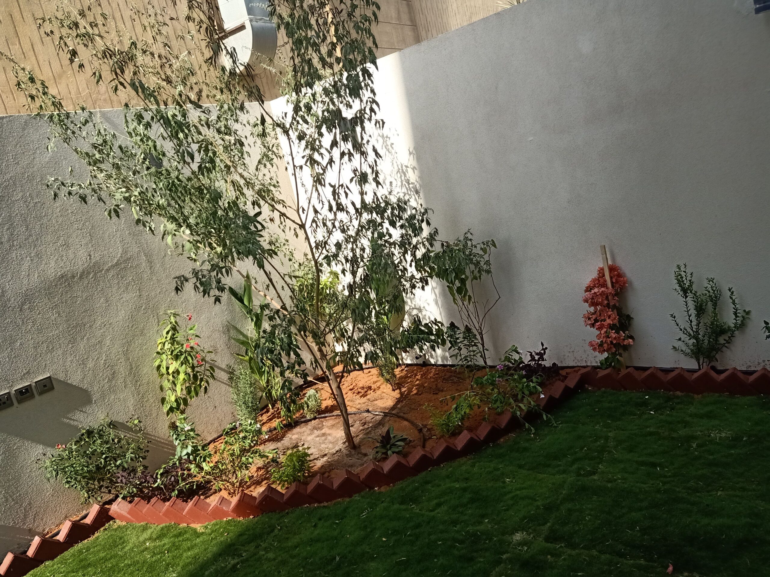 مشتل زراعي الرياض حي الملقا طريق الملك سلمان