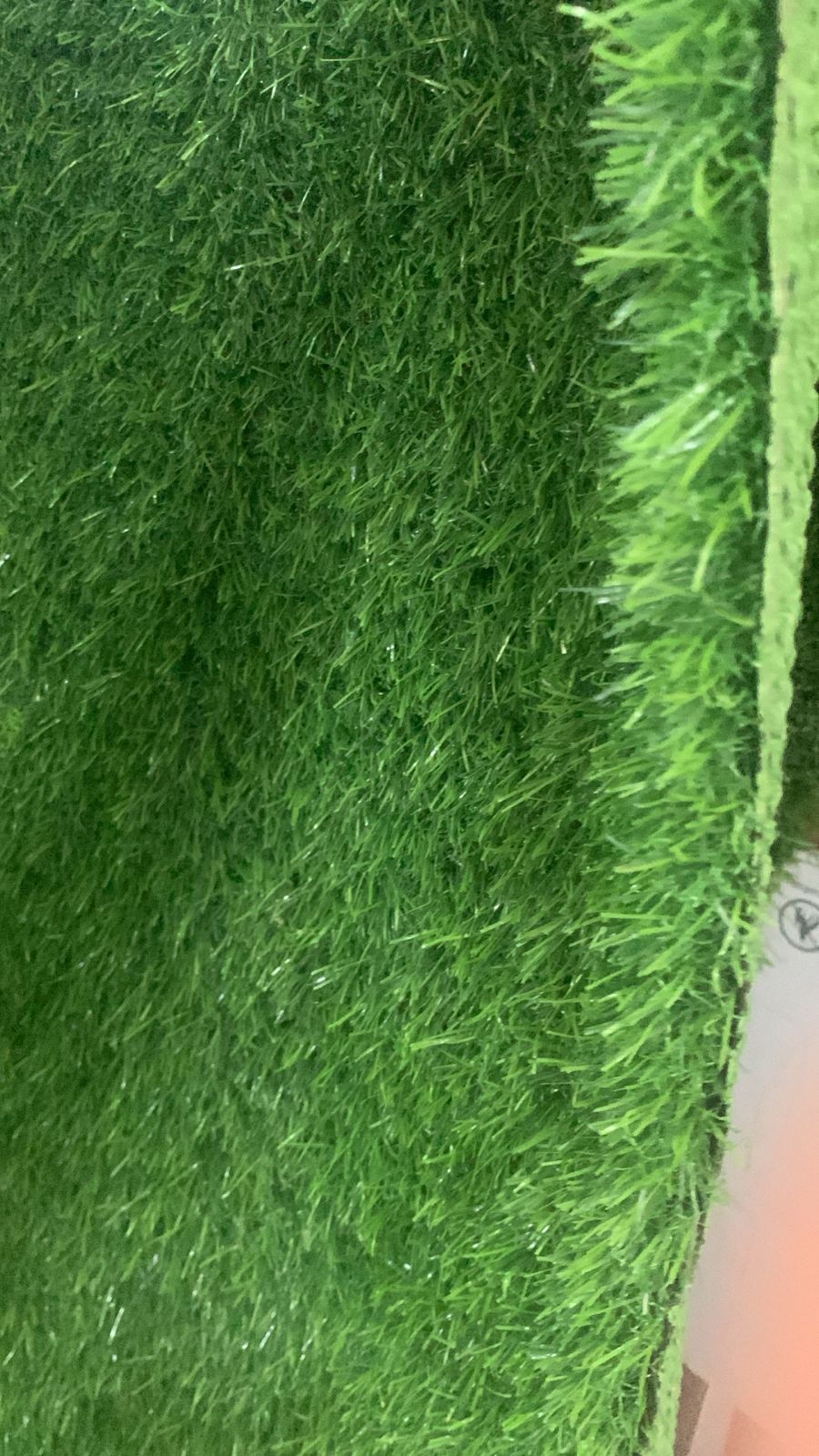 تنسيق الحدايق بالزهور