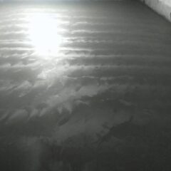 3c161877-178d-4c1d-86bb-1f8dfd1016df