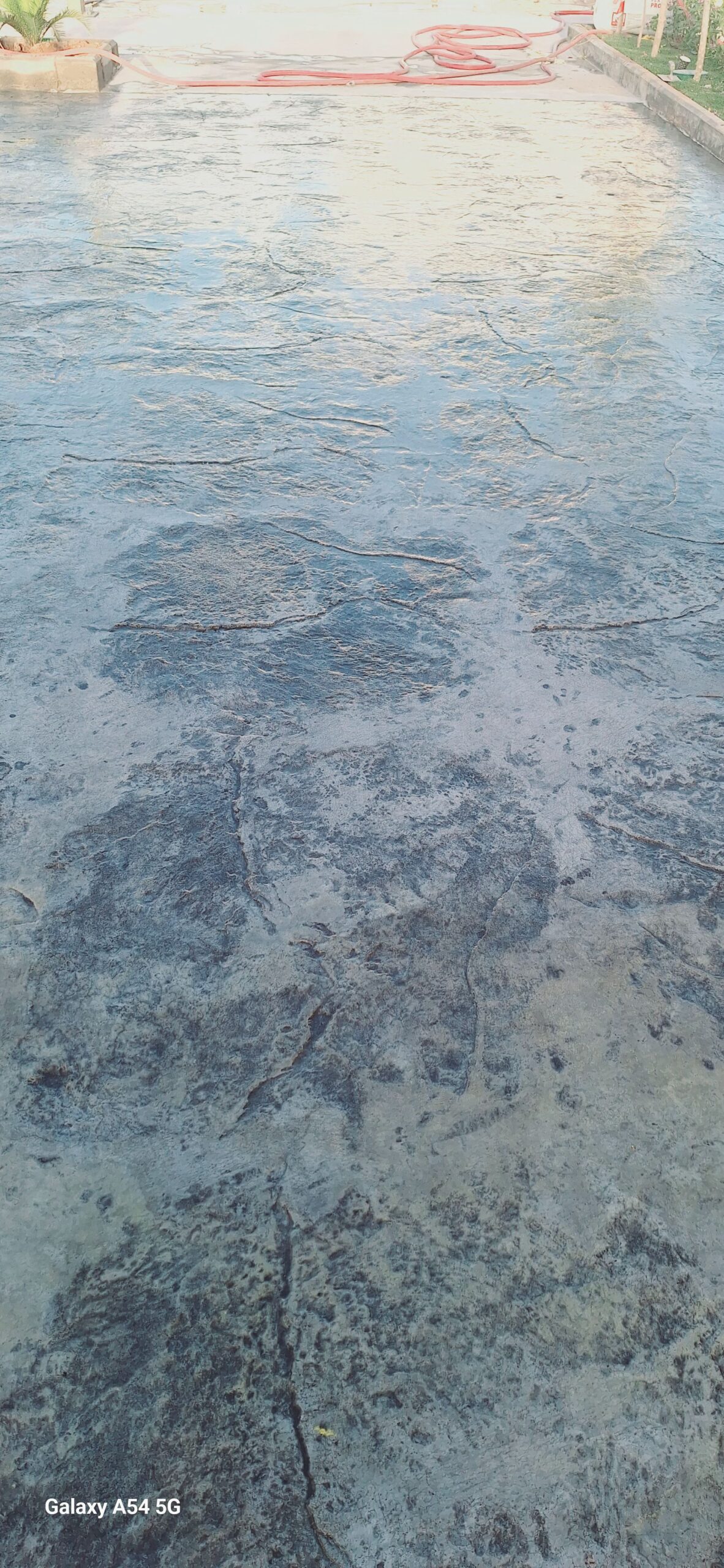 صبہ میزانیہ صبہ متبوعہ صبہ دیکوریا۔صبہ ارزیا۔صبہ