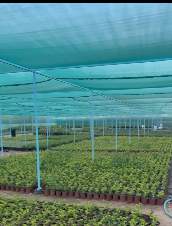 بتوريد وتركيب جميع انواع شبوك