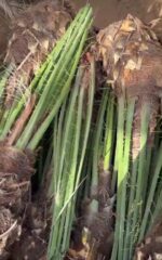 5a3f5fca-d051-468a-aeeb-14de29f27e62