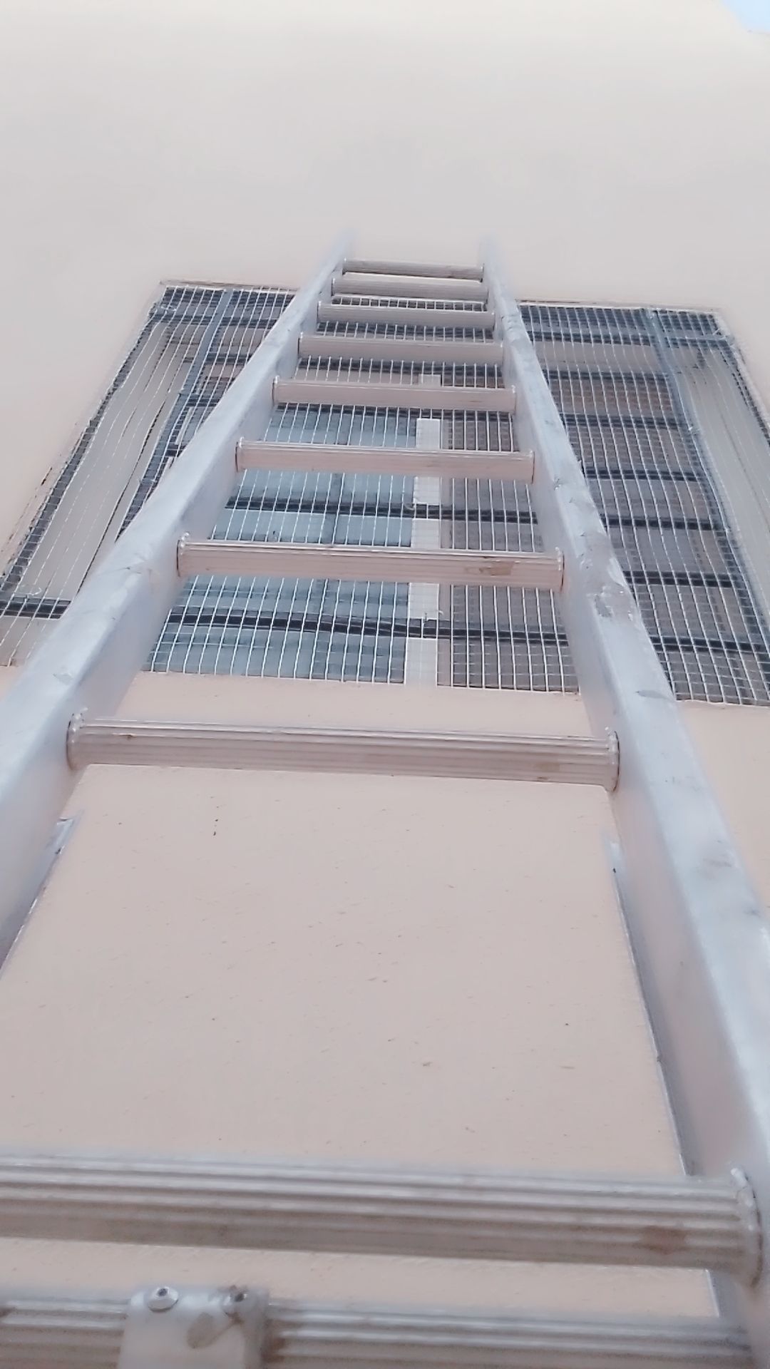 طارد حمام تركيب شبك اشواك مانع الطيور شركة تركيب ط