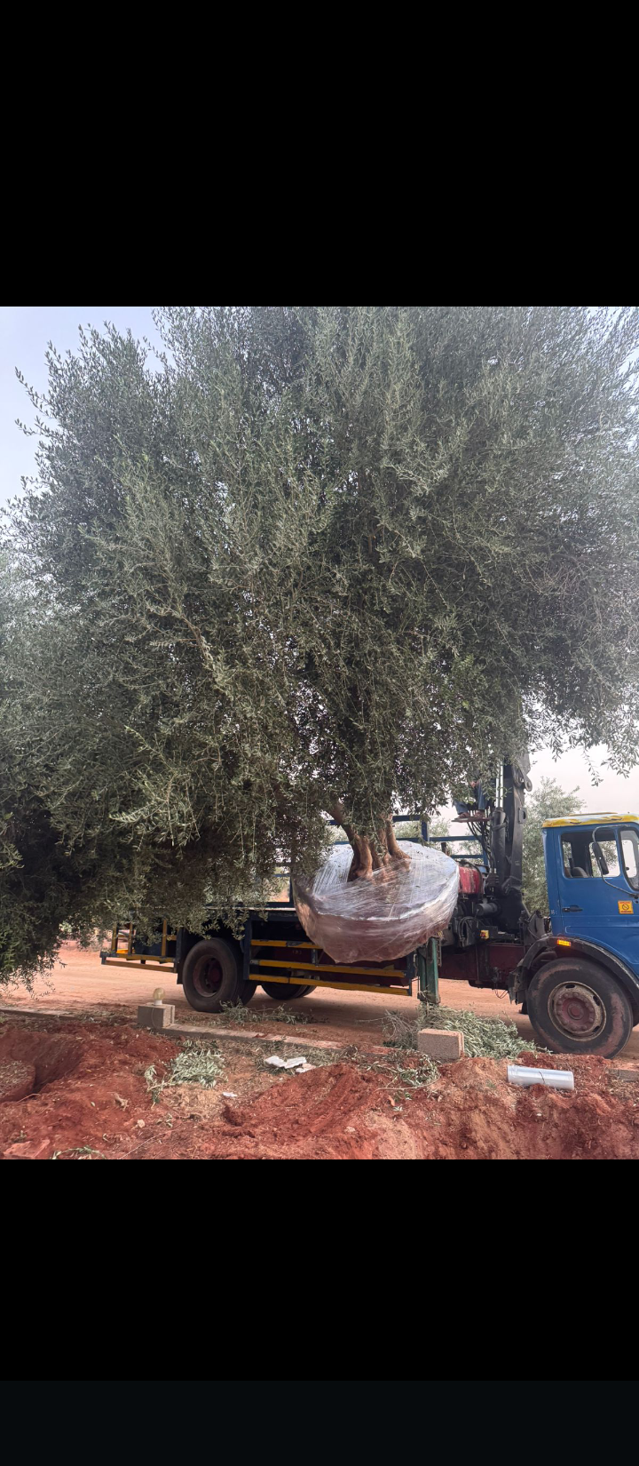 ارياض وخارج ارياض