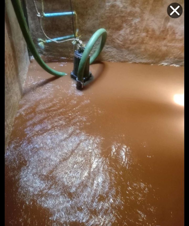 كلين لنظافة العامة