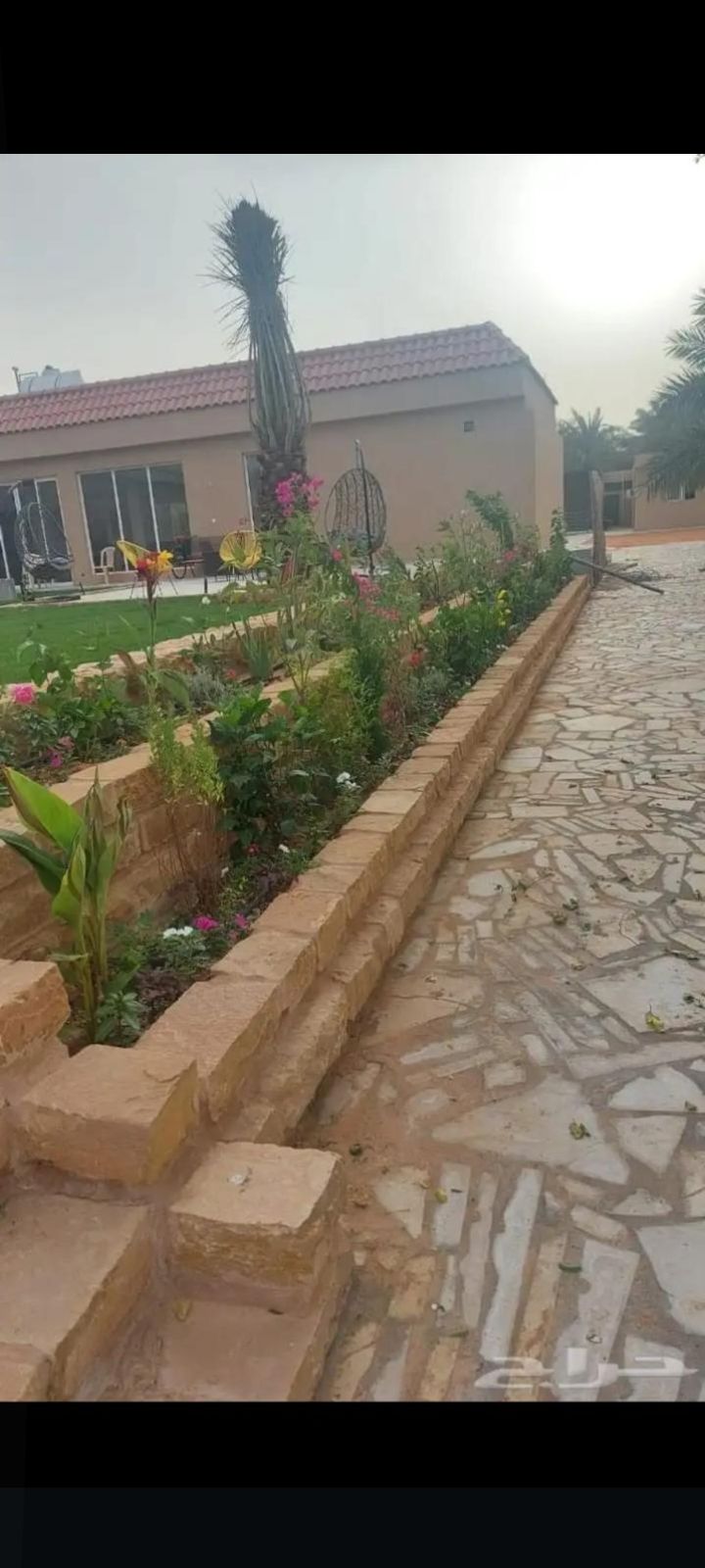 مقاول عام بنيان حجر طبيعي