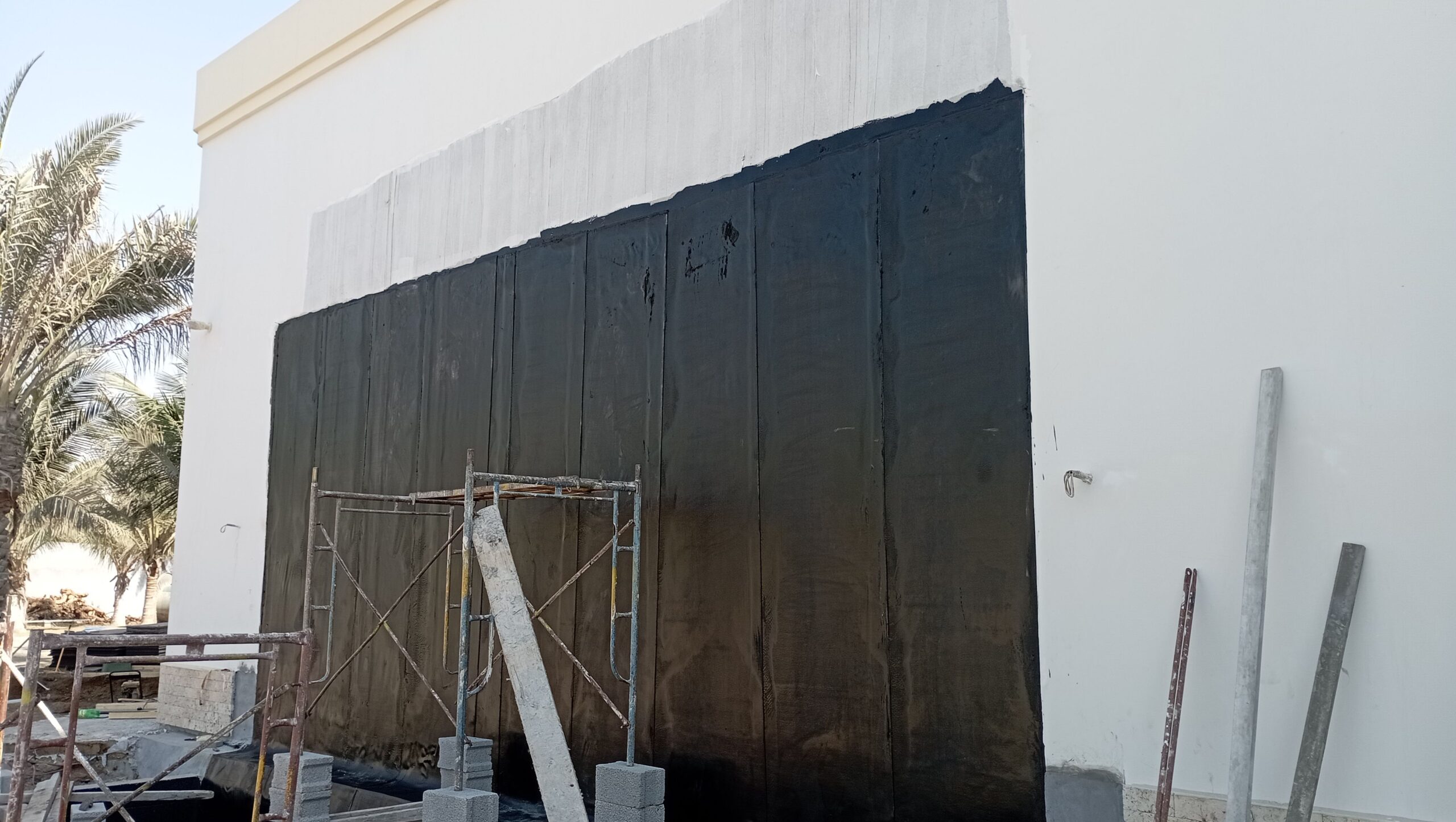 جده شارع صاري