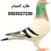 طارد حمام تركيب شبك اشواك مانع الطيور شركة تركيب ط