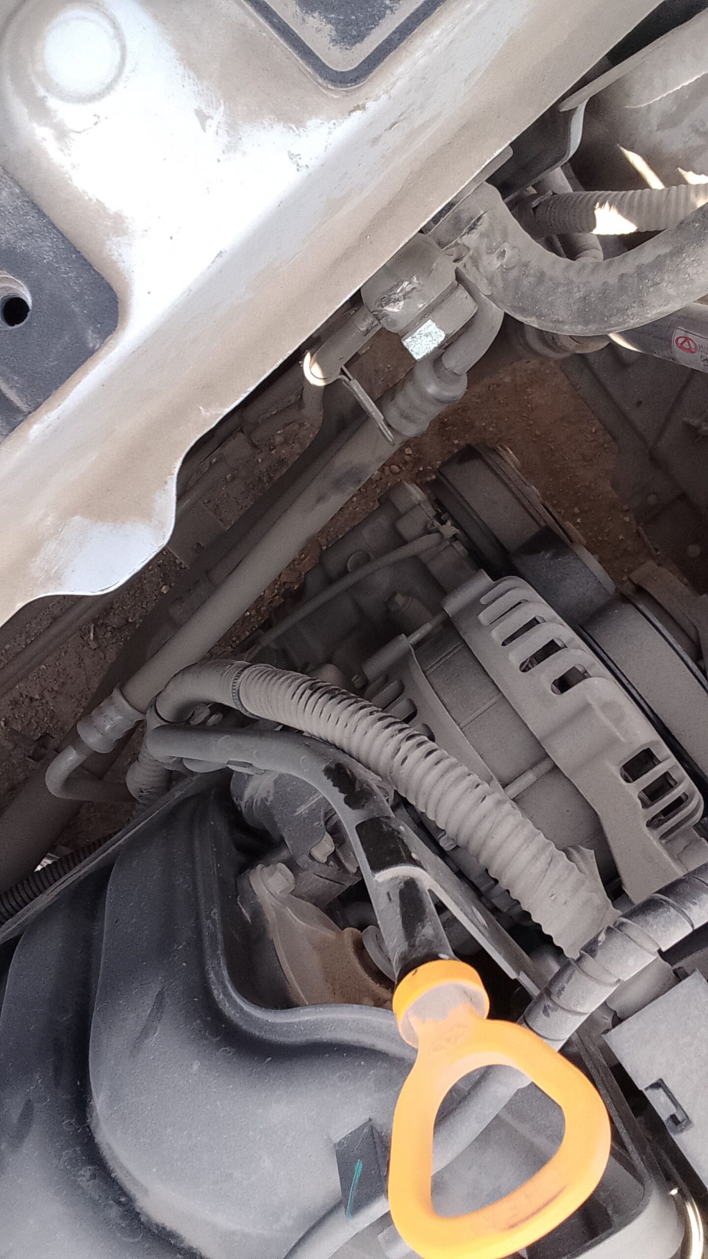 الحائر الرياض