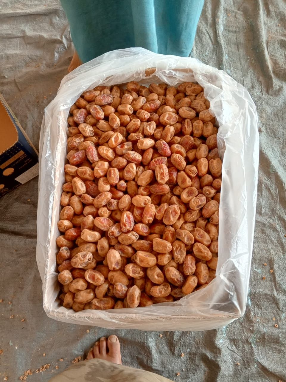 ، يوجد لدينا تمر اخلاص وجميع انواع التمور باسعار م