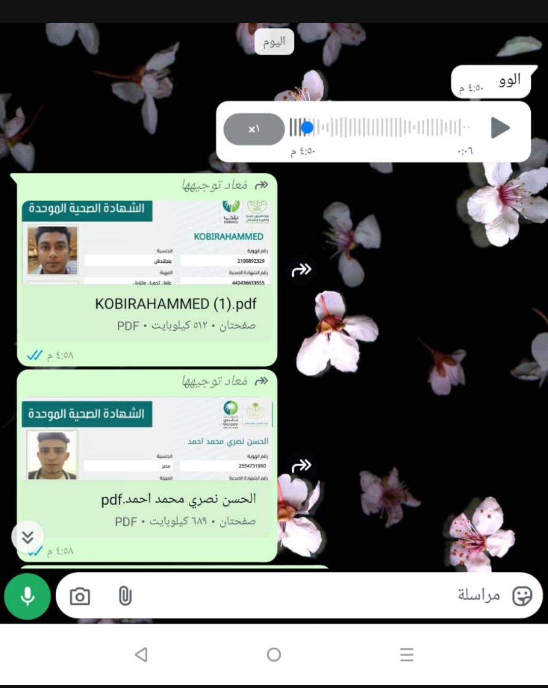 جازان