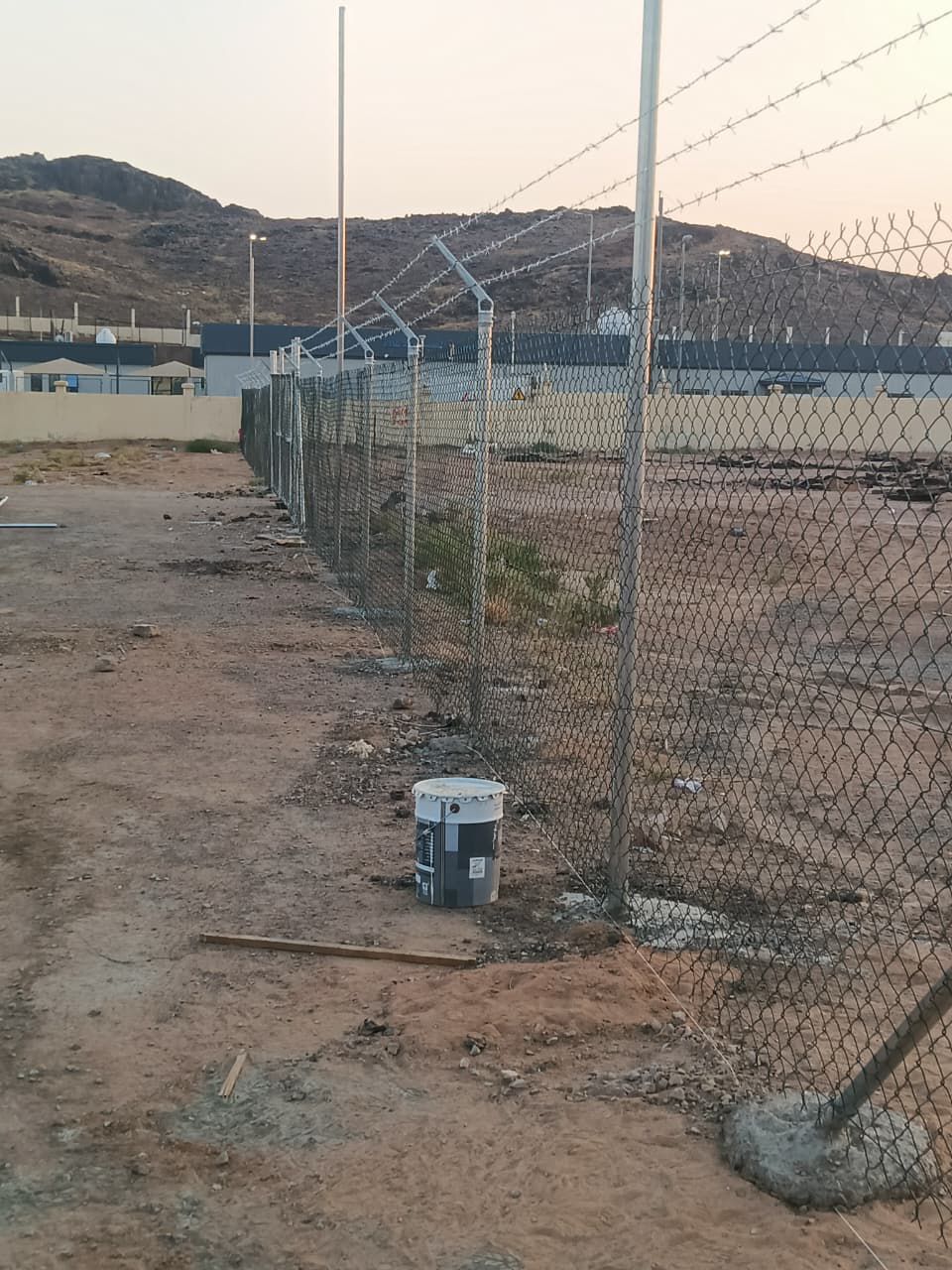 نخل للبيع بجميع الانواع والمقاسات المختلفة وقسم خا