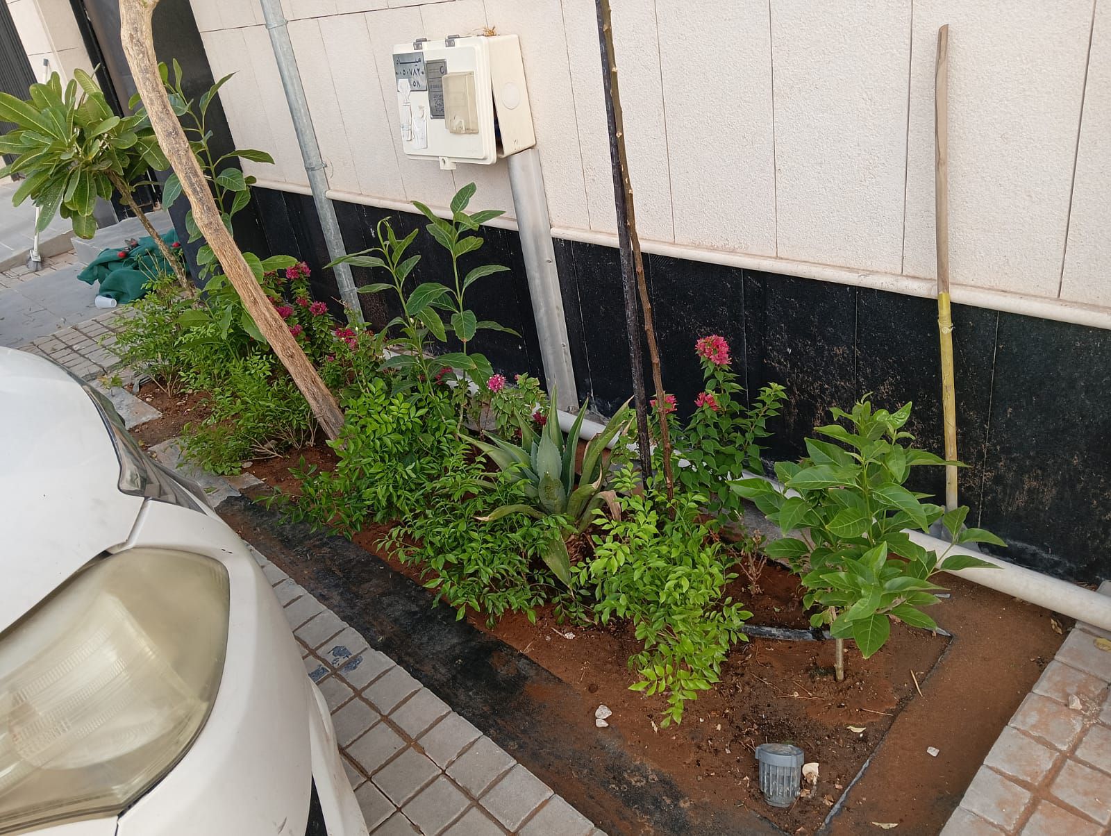 مشتل زراعي الرياض حي الملقا طريق الملك سلمان