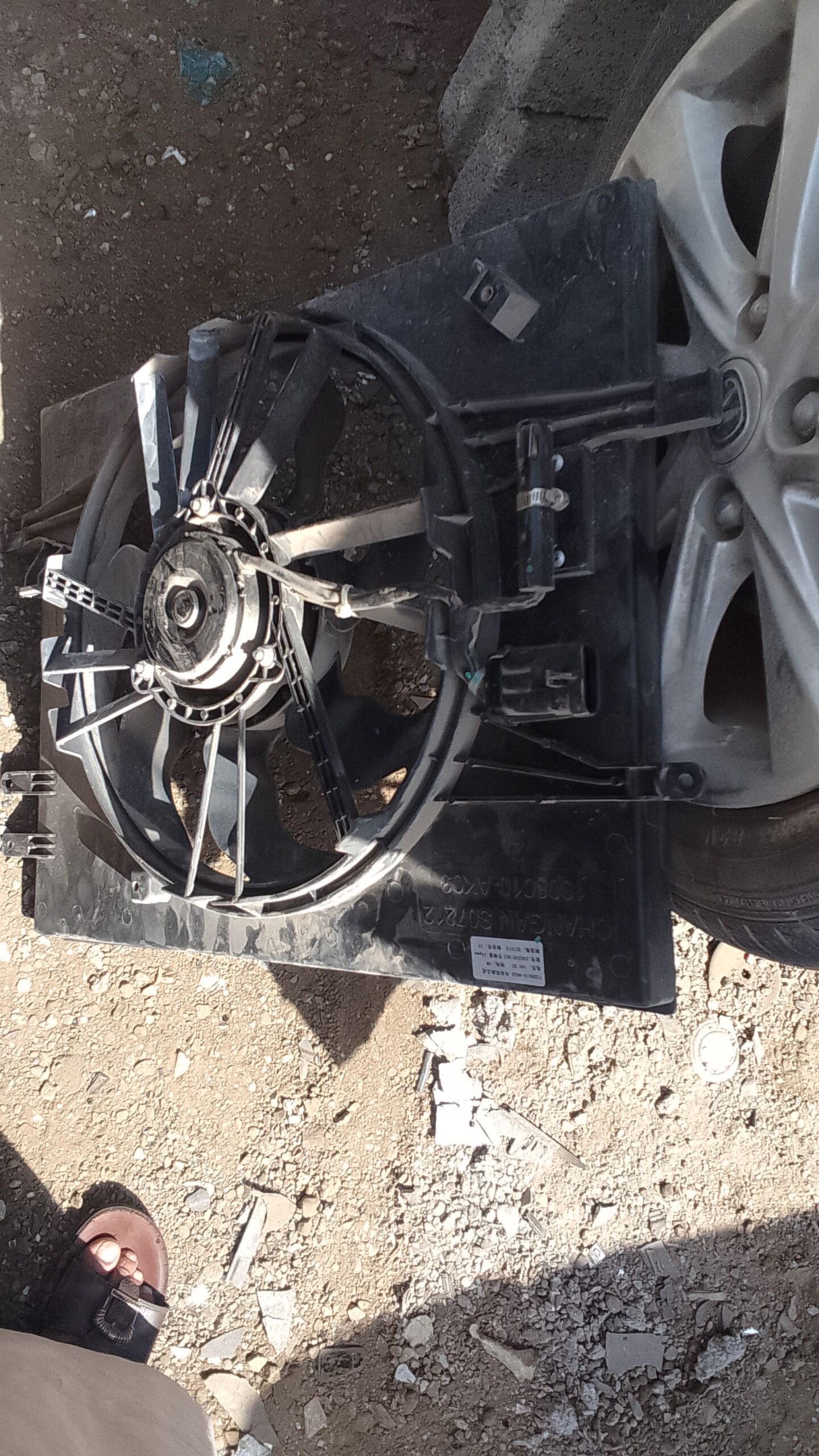 الحائر الرياض