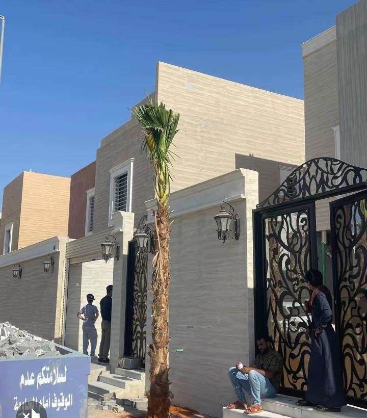 نخل وشنطانياء