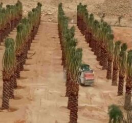 9de5a179-c068-48df-86e5-f8361badf634-1