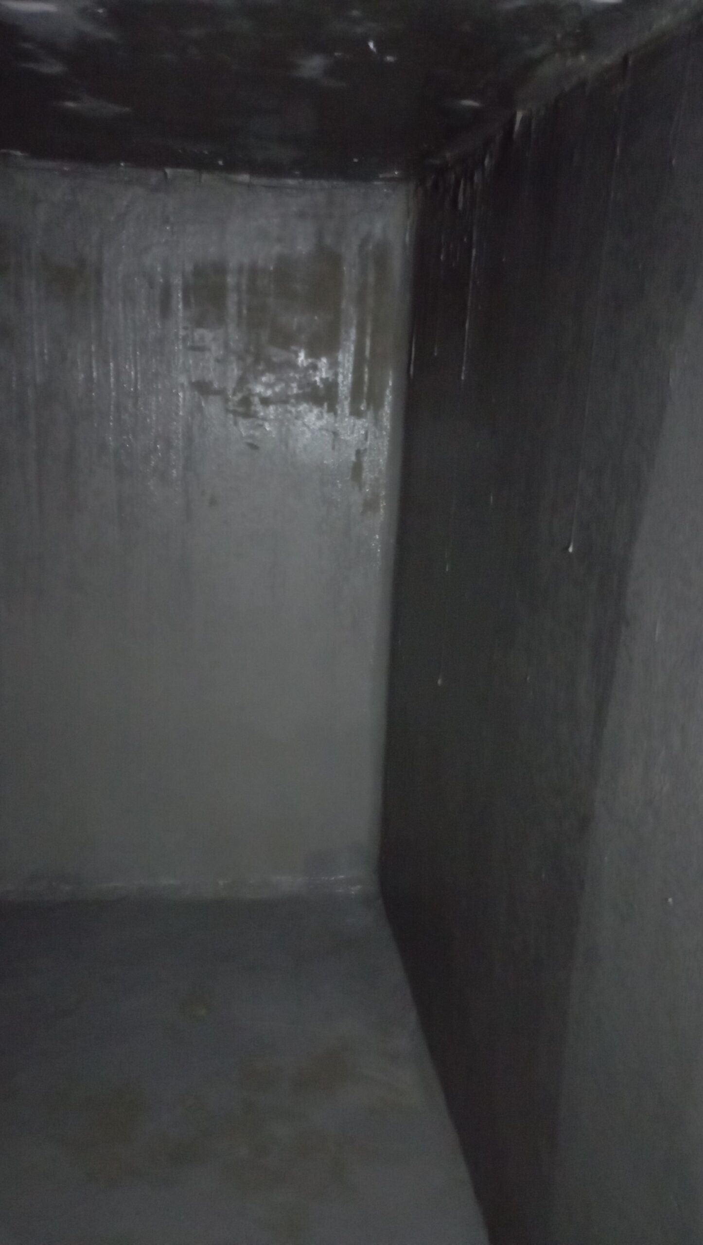 جده شارع صاري