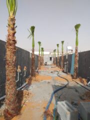 adc41781-a386-4737-b54b-1110652c5167