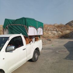 b061debb-071c-4c0c-903a-2fdc2f82e206