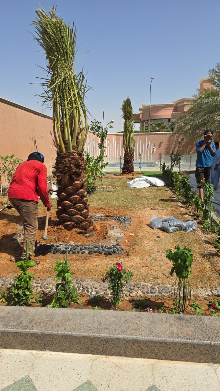 نقيل عربي جميع المقاسات فاخره
