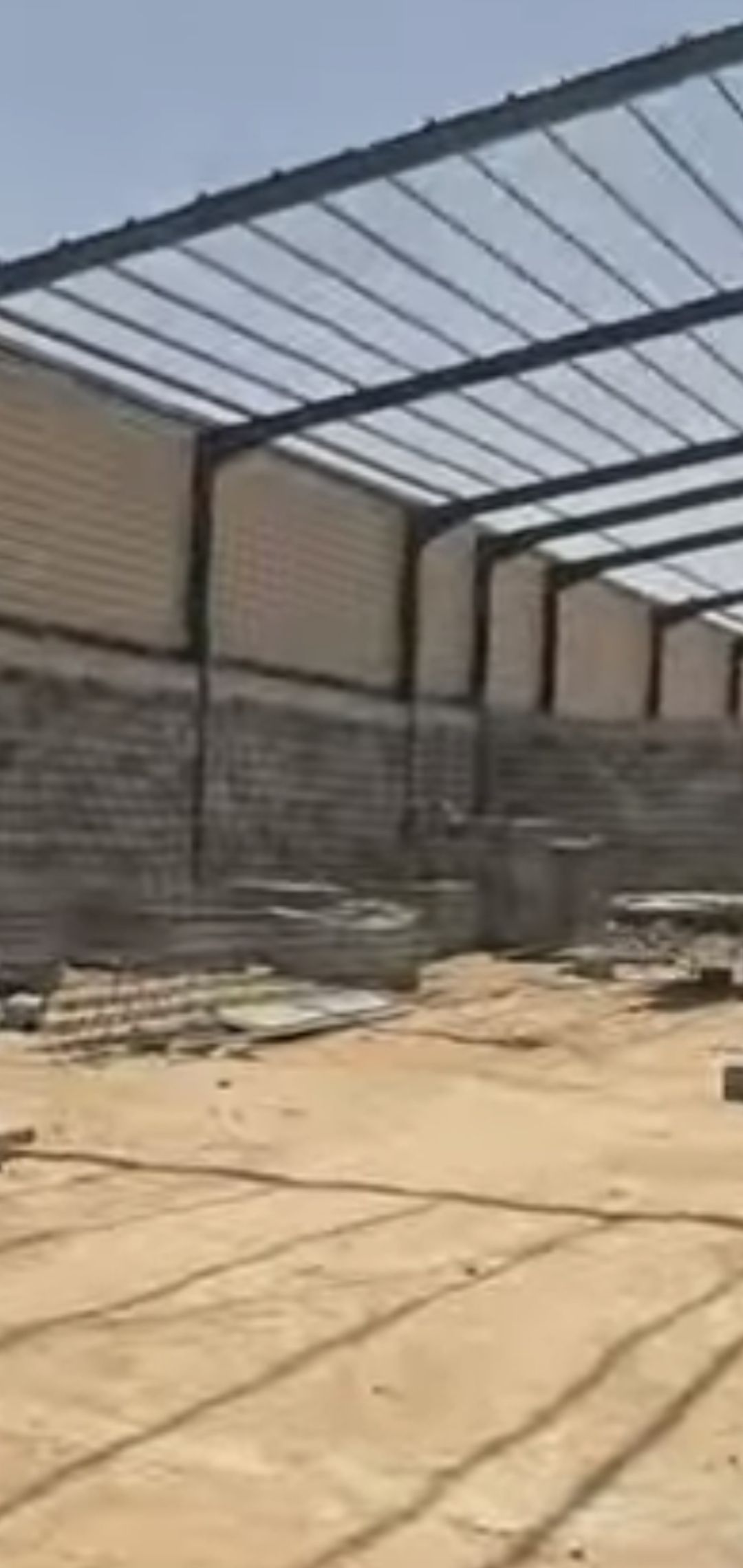 المدينه المنوره