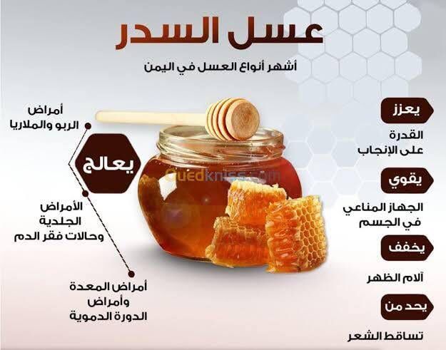 عسل سدر جبلى يمنى دوعينى ملكى مشبع بغذاء ملكات ناد