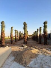 c75c2be2-694c-46f3-a376-00f5926b0df6