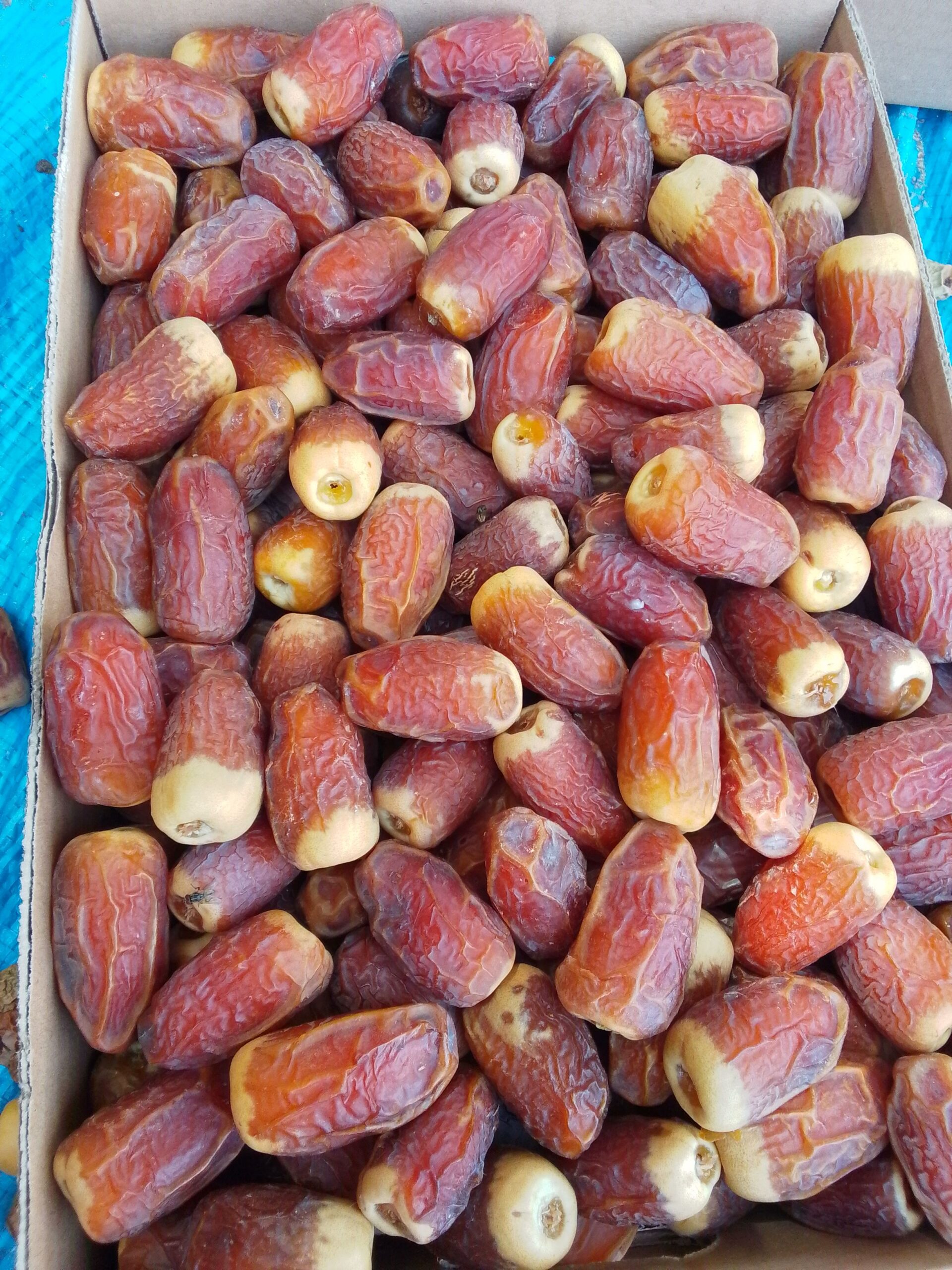 يوجد عامل #نخل يشتغل لدا مزارع النخيل وعنده خبره ف