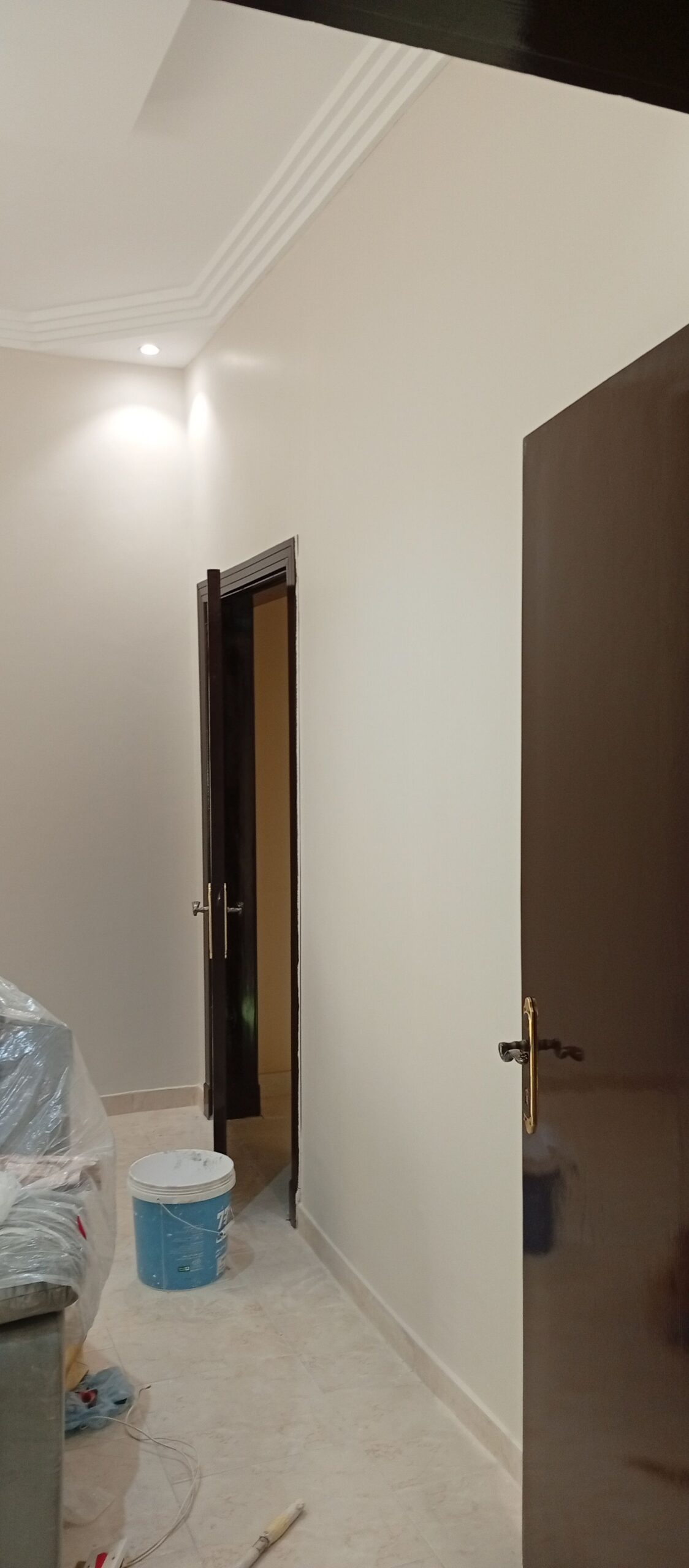 عامل دهانات وديكورات الرياض