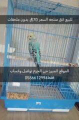 ce1b25b7-d0e8-4cd7-8e5f-e3635301fd36