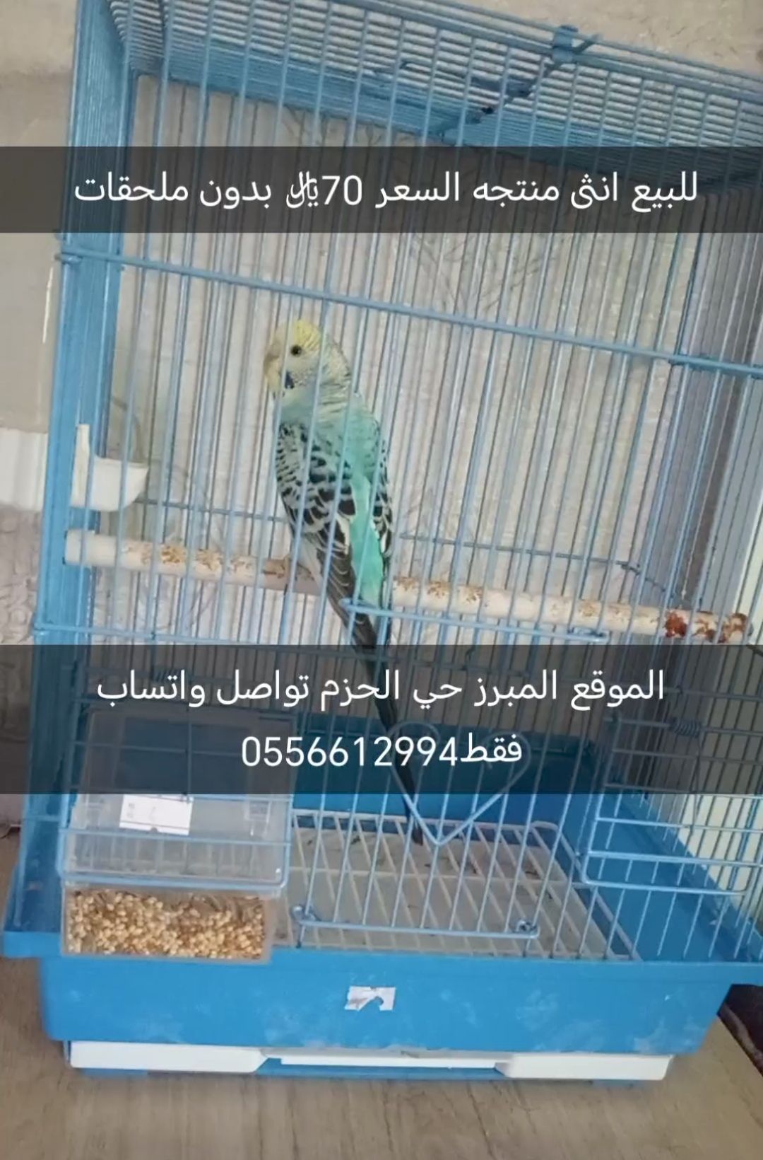 الاحساء المبرز حي الحزم الجنوبي