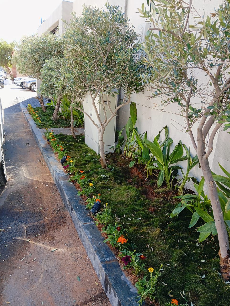 مشتل زراعي الرياض حي الملقا طريق الملك سلمان