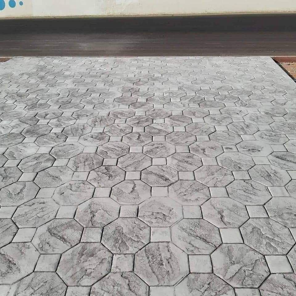 صبہ میزانیہ صبہ متبوعہ صبہ دیکوریا۔صبہ ارزیا۔صبہ