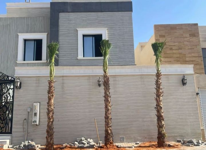 نخل وشنطانياء