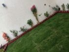 مشتل زراعي الرياض حي الملقا طريق الملك سلمان