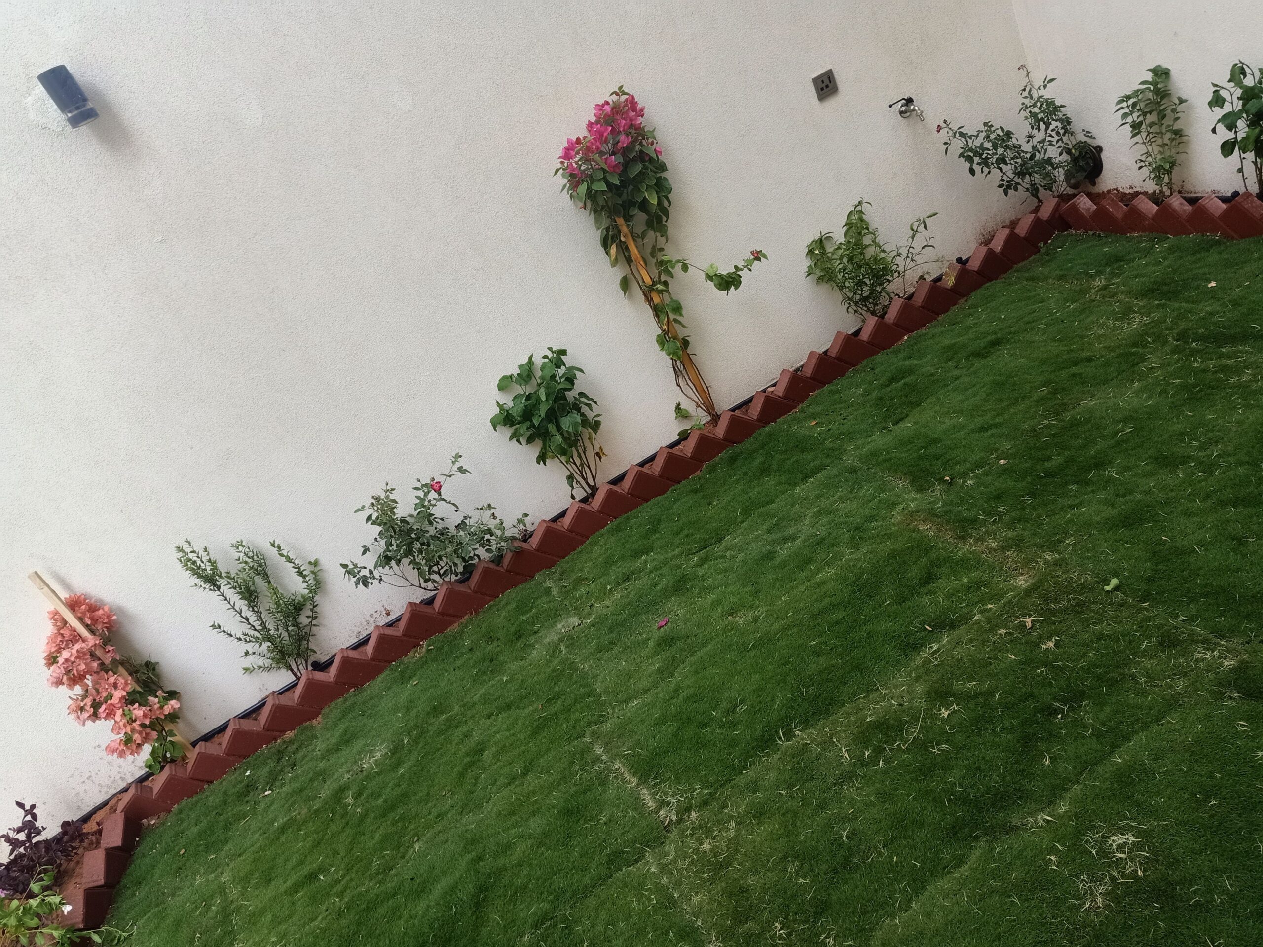 مشتل زراعي الرياض حي الملقا طريق الملك سلمان