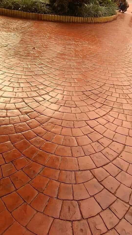 صبہ میزانیہ صبہ متبوعہ صبہ دیکوریا۔صبہ ارزیا۔صبہ