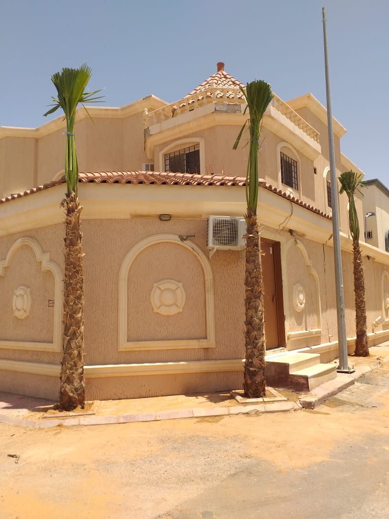 نخل وشنطن زينه