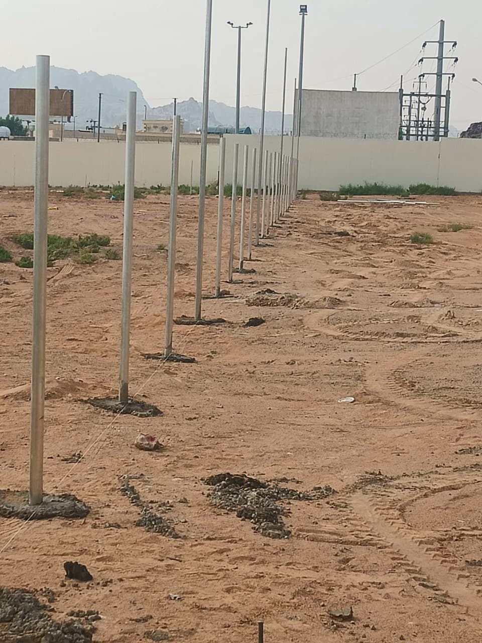 نخل للبيع بجميع انواعه وكافت مقاساته المختلفة وقسم