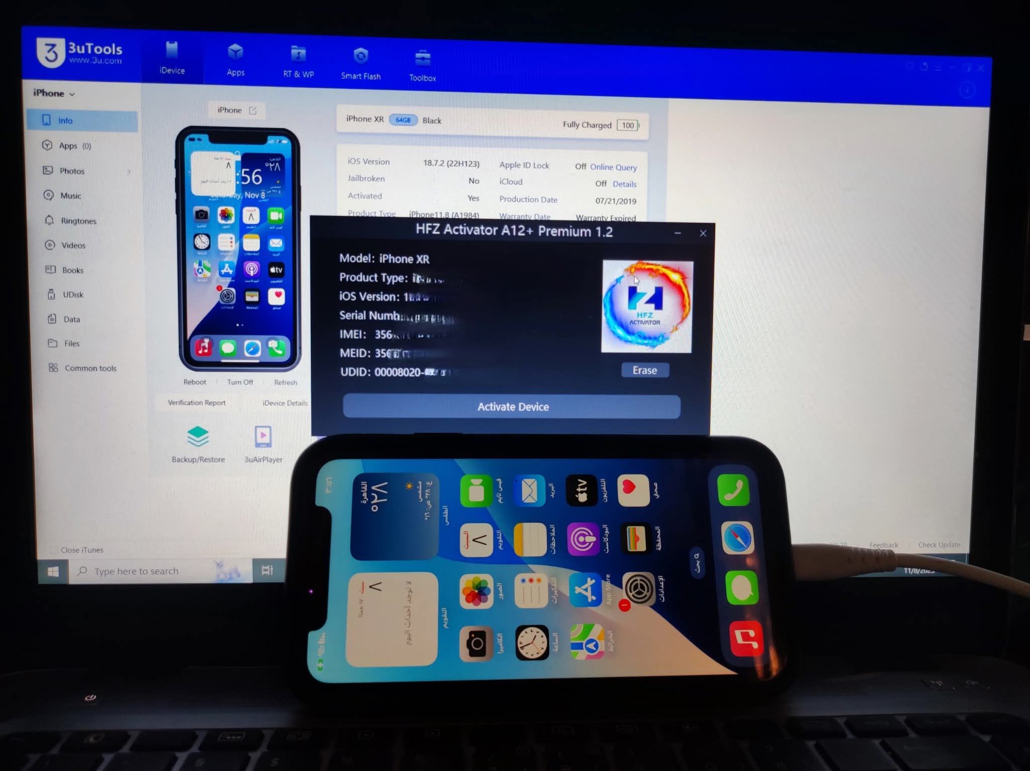 جميع المملكة