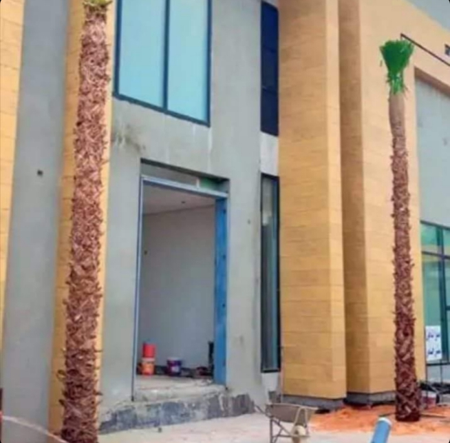 نخيل معا اتوصيل والغرس