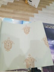 181df427-5cd6-45d3-9f01-1edfa12578f2