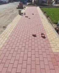 1bd77a9c-2dcc-4f9a-a1e0-9140ed0400a7