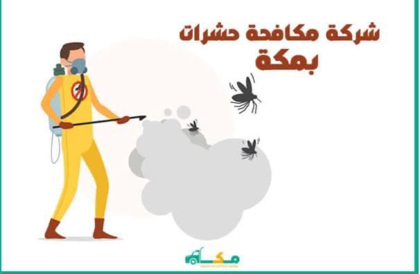 شركة مكافحة حشرات بمكة