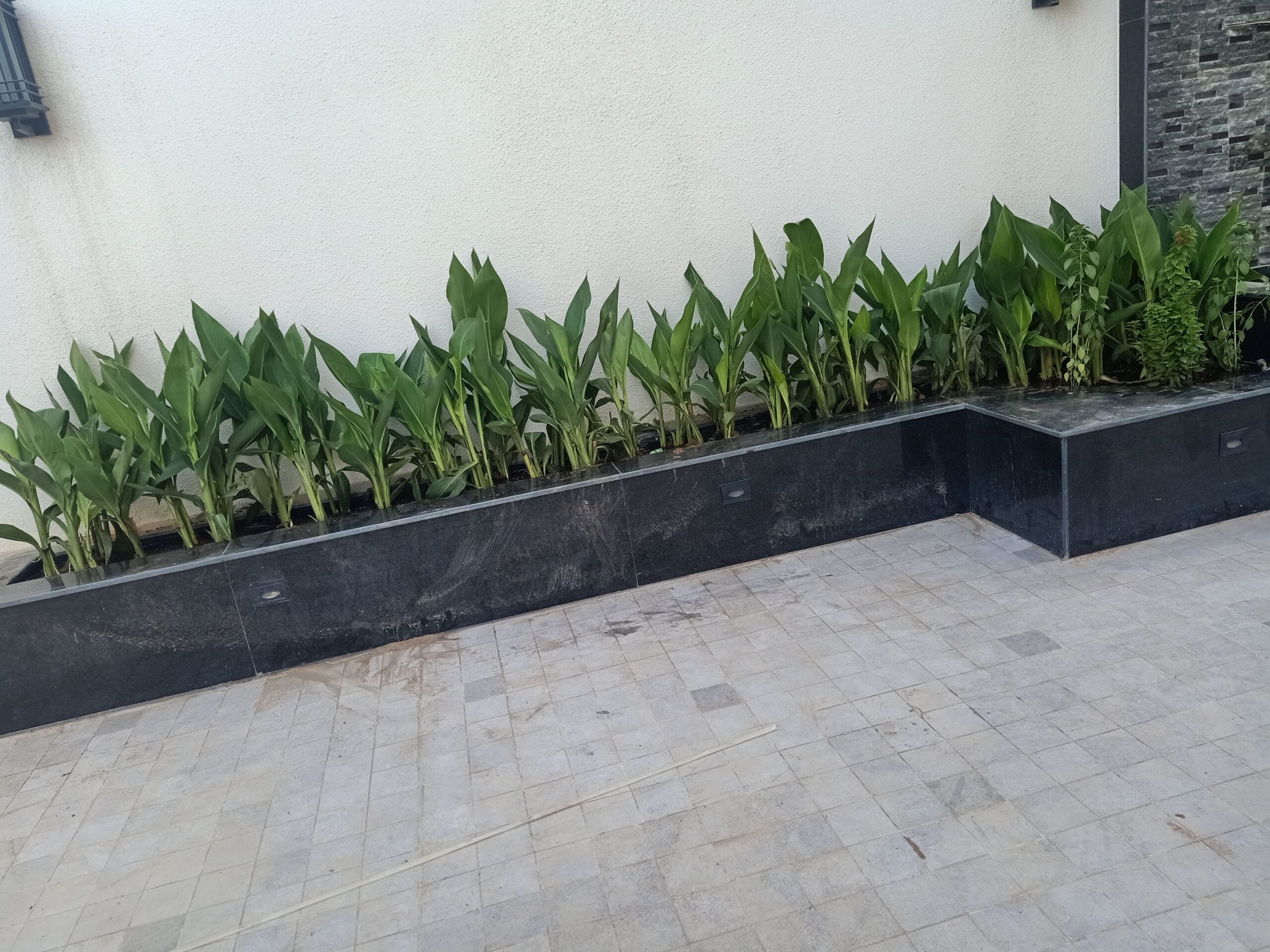 مشتل زراعي الرياض حي الملقا طريق الملك سلمان