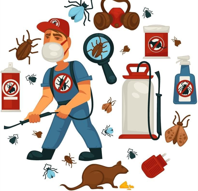 شركة مكافحة حشرات بمكة